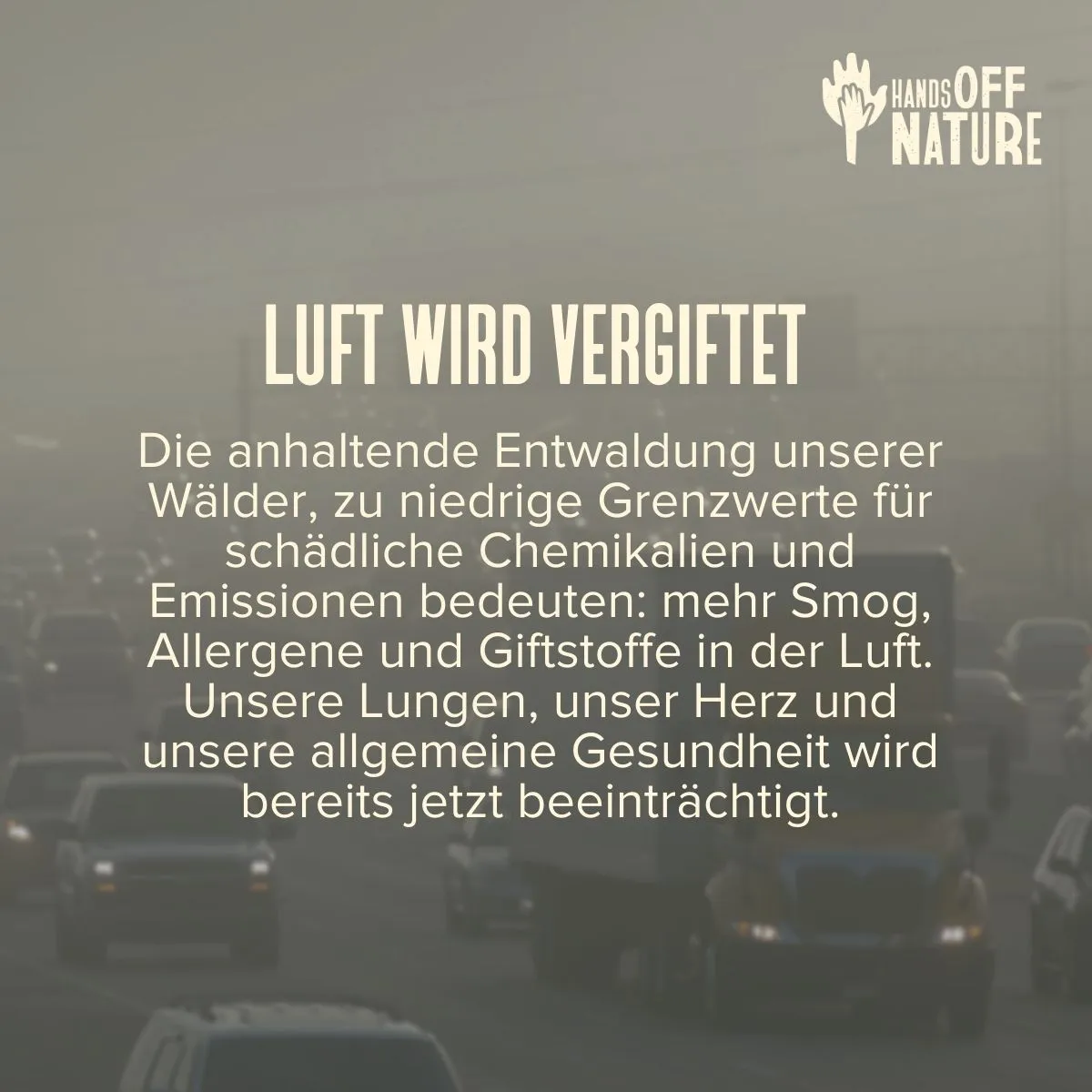 Luft wird vergiftet. Die anhaltende Entwaldung unserer Wälder, zu niedrige Grenzwerte für schädliche Chemikalien und Emissionen bedeuten: mehr Smog, Allergene und Giftstoffe in der Luft. Unsere Lungen, unser Herz und unsere allgemeine Gesundheit wird bereits jetzt beeinträchtigt.